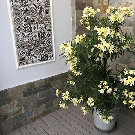 Casa Angela Homestay Primorsko
